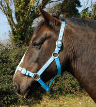 Load image into Gallery viewer, Budget strong nylon headcollar