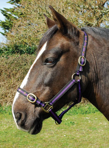 Budget strong nylon headcollar