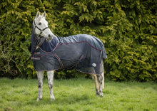 Load image into Gallery viewer, Rhinegold Mombasa Waterproof Topline Fly Rug With Neck Cover With Detachable Neck Cover AND NEW BELLY GUARD FOR 2024