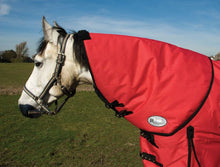 Load image into Gallery viewer, Rhinegold Konig Neck Cover Easily Attaches To Konig Rug