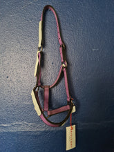 Load image into Gallery viewer, BW (Shires) breakaway Headcollar