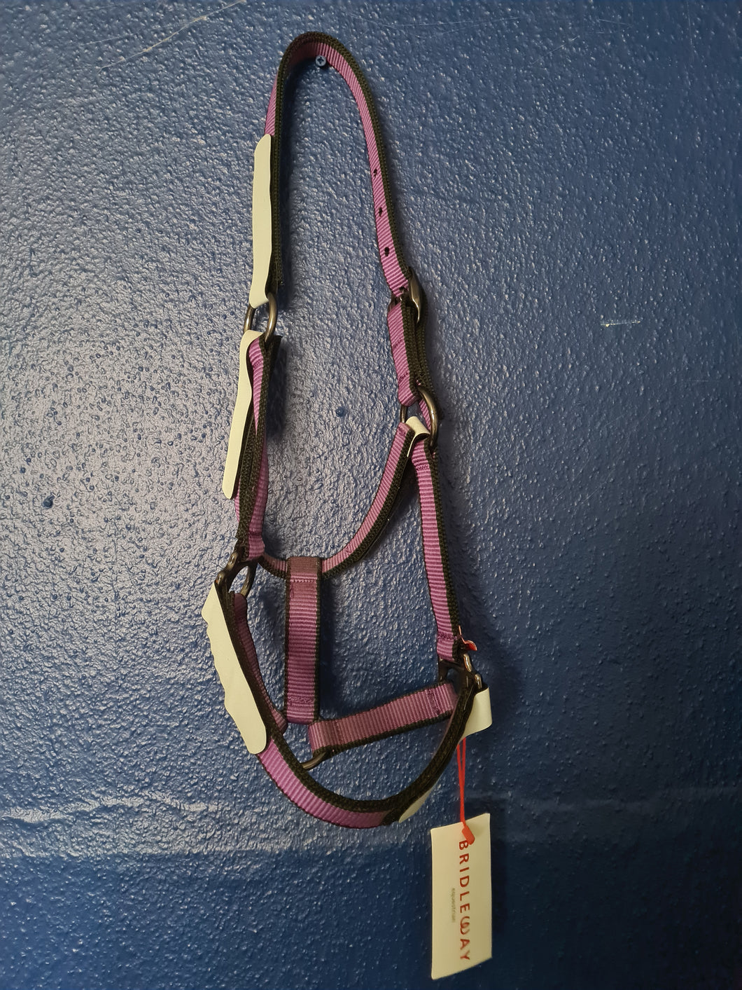 BW (Shires) breakaway Headcollar