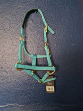 Load image into Gallery viewer, Shires Topaz Nylon Headcollar