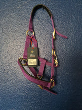 Load image into Gallery viewer, Shires Topaz Nylon Headcollar