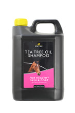 Load image into Gallery viewer, 25700 - Lincoln - Tea Tree Oil Shampoo - 4 litre.jpg