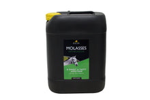 Load image into Gallery viewer, 3201 - Lincoln - Molasses - 20 litre.jpg
