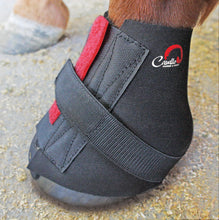 Load image into Gallery viewer, 6450 - Cavallo - Pastern Wraps.jpg