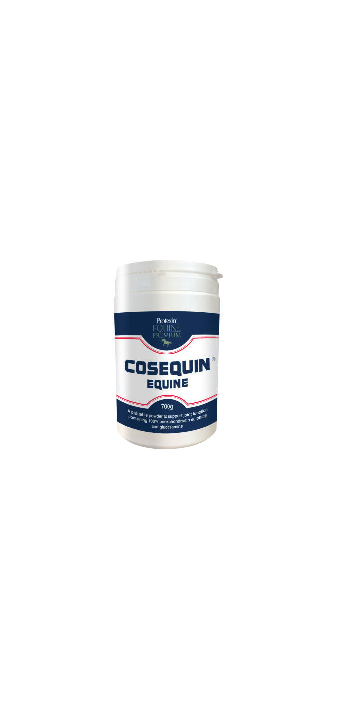 9913 - Protexin - Cosequin Equine Powder.jpg