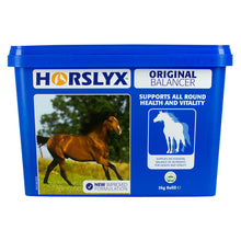 Load image into Gallery viewer, Horslyx Original