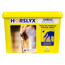 Load image into Gallery viewer, Horslyx Garlic