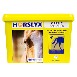 Horslyx Garlic