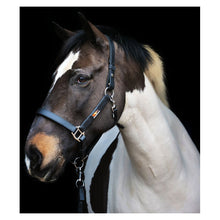 Load image into Gallery viewer, Equilibrium Stellar™ Head Collar