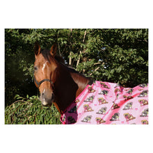 Load image into Gallery viewer, Thelwell 0gram Hot pink and Lime Turnout rug