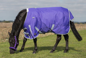 Mark Todd Purple Pony Turnout