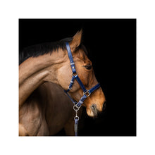 Load image into Gallery viewer, Equilibrium Stellar™ Head Collar